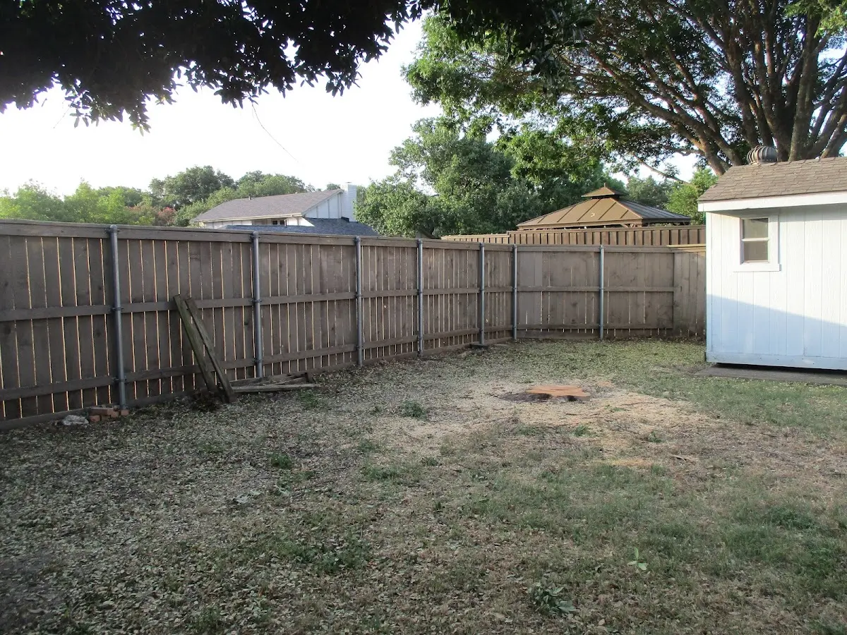Cleared yard after professional tree removal in Taos Ski Valley